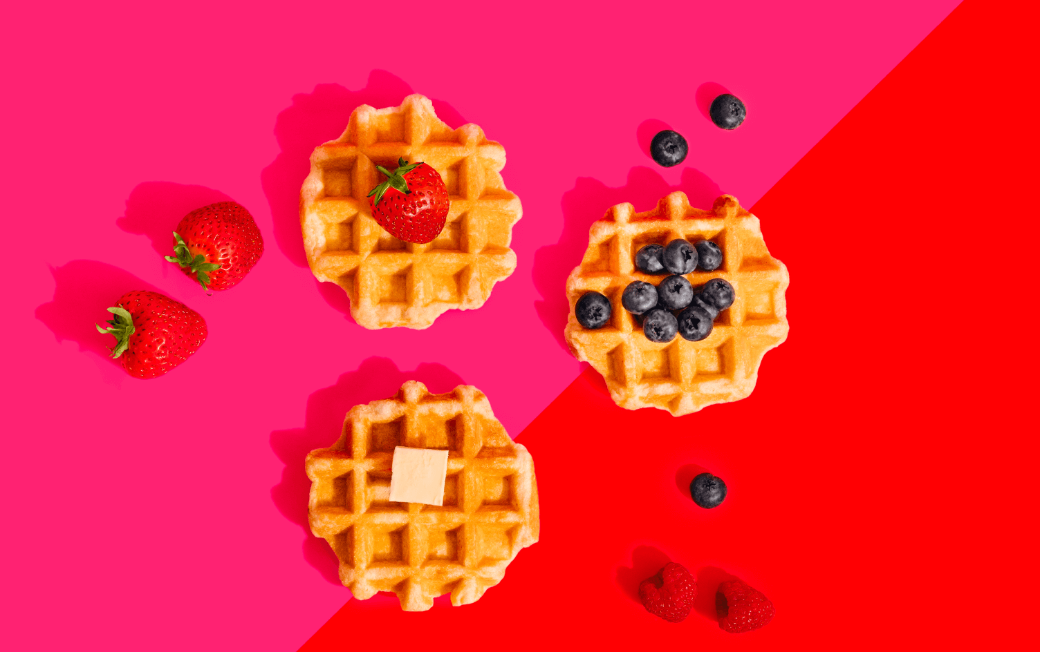 Photo en lien avec le texte